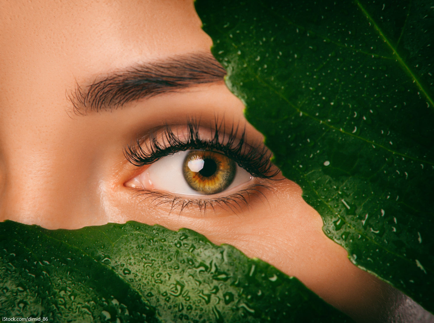 Eine Auge sichtbar durch ein grünes Blatt ist das Gesicht verdeckt