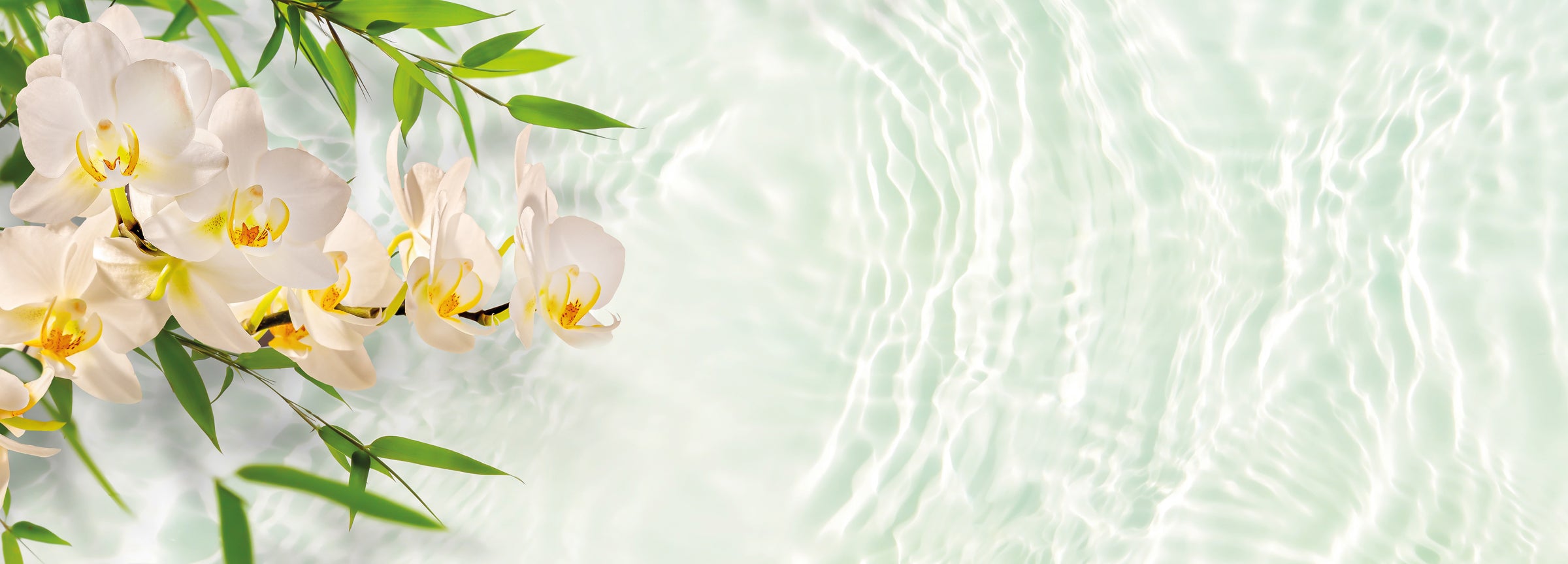 Orchidee mit Bambus Zweigen schwebend über kristallklares Wasser